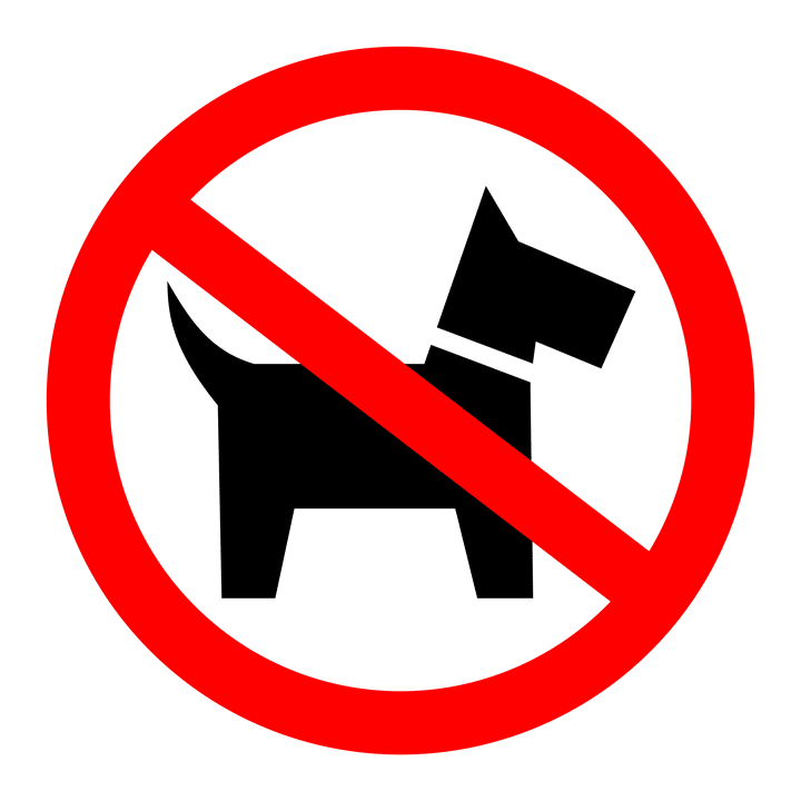 no Dogs